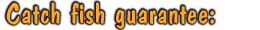 Catch Fish Guarantee